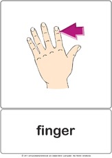 Bildkarte - finger.pdf